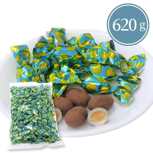 eB~X`R[g {`R[g 250g 620g RpNg `R _[N`R  e C 蕨 v[g 