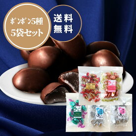 ボンボン 丸赤製菓 アソート5種 (ウイスキーボンボン ワインボンボン 梅酒ボンボン 日本酒ボンボン ブランデーボンボン)丸赤製菓 お酒 日本酒 梅酒 チョコレート バレンタインデー ホワイトデー プレゼント 晩酌 贈り物 昔ながら 懐かしい