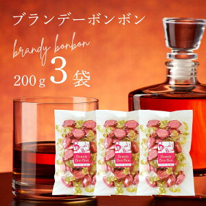 ECXL[{{ uf[ { ېԐ 200g×3(600g) Y  `R[g َq ӎ NX}X o^C zCgf[ v[g 蕨 {{`R {{V