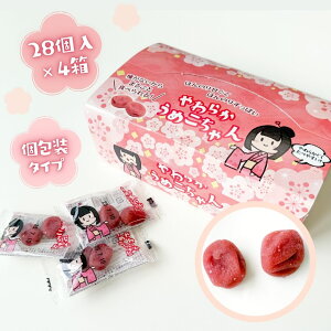 炩߂ PCGXJpj[ 28 4Zbg ߋ ~ MǑ΍ ⋋  َq  