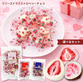 フリーズドライ ストロベリーホワイトチョコ 145g リアライズプラニング チョコレート ドライ苺 苺トリュフ 小分け バレンタインデー ホワイトデー ハロウィン 春日堂