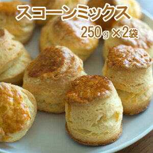 XR[~bNX 250g×2  َq ޗ Ɩp  1000~ ۂ