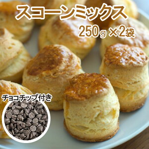 XR[~bNX 250g×2 `R`bv100gZbg  َq ޗ Ɩp y5`10N[()z