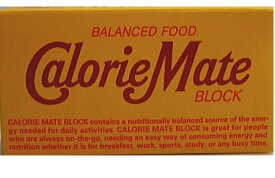 大塚製薬 カロリーメイト ブロック チョコレート味 2本×20個