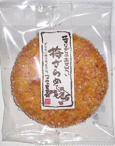 ߂̗{ 唻~ߐ 1×12ܓyS΂łc܂܂z