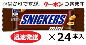 XjbJ[Y~j }[XWp 24{ ܂Ƃߔ kK[`R `Rَq yS΂łcN[|܂z