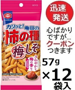 Tc Tc̊`̎~  57g×12ܓ J_ `s[ ܂ ~ׂ `̎yS΂łcN[|܂z