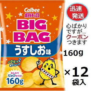 Jr[ |eg`bvXBIGBAG 160g×12ܓ p[eB[TCY rbOTCY XibNَq ܂ƂߔyS΂łcN[|܂z