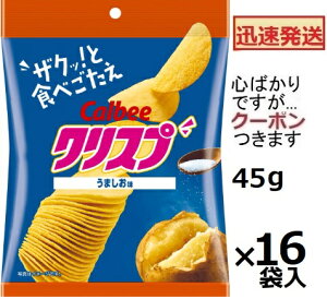 Jr[ NXv ܂ 45g×16ܓ |eg`bv XibNَq ܂Ƃߔ َqyS΂łcN[|܂z