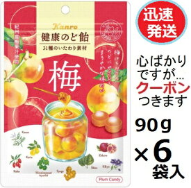 カンロ 健康のど飴梅 90g×6袋入 ウメのど飴 袋入りのど飴 【心ばかりですが…クーポンつきます☆】