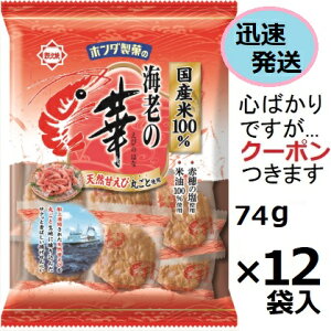 z_ CV̉ 74g×12ܓ ׂ ͓SΏ \tgׂ тׂ ĉ ܂Ƃߔ g ׂ GrׂyS΂łcN[|܂z