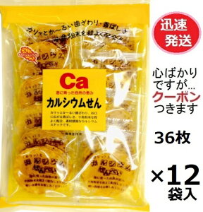 퓰 CaJVE 36×12ܓ JVEَq JVE  yS΂łcN[|܂z