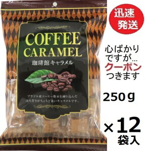 {c كL 250g×12ܓ َq  R[q[L 嗱L n[hL LyS΂łcN[|܂z