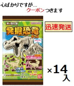 バンダイ キャラパキ発掘恐竜チョコ 1個×14入＜ケース販売＞クール便選択可 BANDAI キャラパキ チョコ 恐竜チョコ 型抜きチョコ チョコ菓子 化石チョコ chcolate【心ばかりですが..クーポンつきます☆】