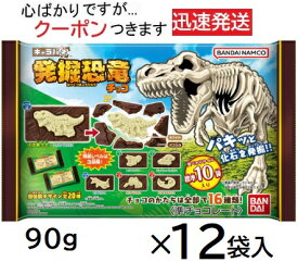 バンダイ キャラパキ 発掘恐竜チョコ大袋 90g×12袋入＜ケース販売 ＞クール便選択可 BANDAI キャラパキ チョコ 恐竜チョコ 型抜きチョコ チョコ菓子 化石チョコ chcolate【心ばかりですが..クーポンつきます☆】