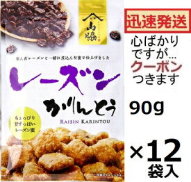 山脇製菓 レーズンかりんとう 90g×12袋入 かりんとう フルーツかりんとう【心ばかりですが…クーポンつきます☆】