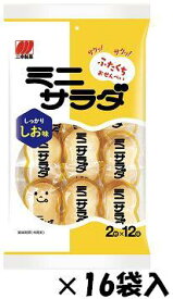 【心ばかりですが…クーポンつきます☆】三幸製菓 ミニサラダしお 61g×16袋入