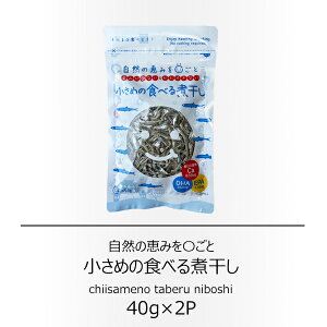 岡商店 小さめの食べる煮干し 40g×2袋【配送日時指定不可】【送料無料】【メール便対応】【カルシウム】【おやつ】【おつまみ】【無添加】