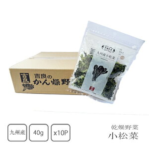 �g�ǐH�i�@������� �@������40g×10�܁@(�P�[�X����)�y���������z�y�J�b�v�ˁz�y�݂��`�z�y�X�[�v�z�y�`���[�n���z�y�a�����z�y�ȕ֏��i�z�y��؍����z