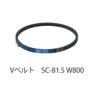 �y�݌ɏ��������I�I���E���ꂠ��zBANDO V�x���g SC�` W800 SC81.5/84/85
