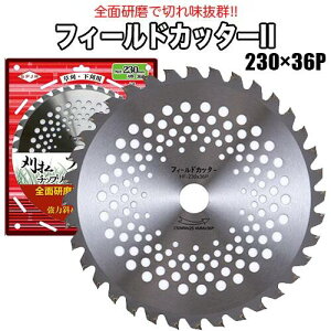 Ts[X 蕥@p`bv\[ tB[hJb^[II 230 36P HF-230II @p @p @p `bv\[ ւn ֐n