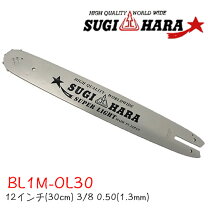 楽天市場】ガイドバー 30cmの通販