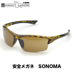 TCGxbNXiSAMURAI ELVEXjSONOMA BROWN \m} TOX (YJ[FuE(F) )yی상KlzySKlzyyʁz