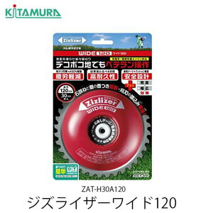 WYCU[ WIDE120 ZAT-H30A120 Ch120 k쏊 @p @ @ @