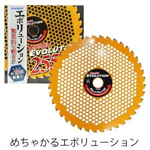 ߂ႩEVOLUTIONiG{[Vj255mm×1.8mm×25.4mm×40P p`bv\[ @p @p ֐n @ @ n i p[c @ ֐n
