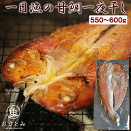 ギフト プレゼント【超特大】一日漁の甘鯛一夜干し 1尾（550〜600g） アマダイ あまだい ぐじ グジ 国産 …