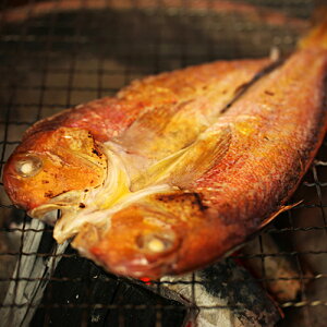 【調理例】甘鯛一夜干し