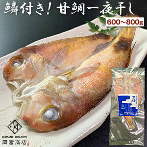 楽天市場 ご自宅用 干物単品 数枚入り 鱗付き 一日漁 の甘鯛一夜干し 山陰とれたて日本海おかとみ