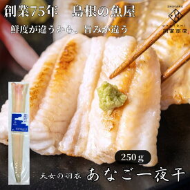 天女の羽衣～あなご一夜干し 大（250g）（1本・約50cm：あくまでも目安です。） 穴子 一夜干し アナゴ 真アナゴ 干物 ひもの 開き 国産 島根県 大田市 一日漁 大あなご 無添加 天日塩 バーベキュー 海鮮 お祝い 誕生日 プレゼント ギフト 魚 食べ物 岡富商店