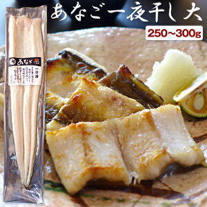 q 銱 Ȃ銱 i250`300gjuV̉H߁vi1{E50cmF܂łڈłBj AiS ^AiS  Ђ J Y  cs  傠Ȃ Y V o