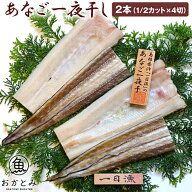 【送料無料】島根沖・天女の羽衣～あなご一夜干し 2枚（1/2カット×4切）アナゴ 穴子 干物 セット 干物 …