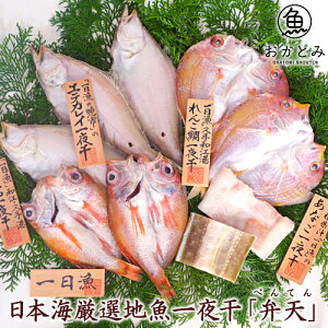 yz {CIn銱uٓVviׂĂj@ ̂ǂ 񂱑 ꂢ q Y Y Ђ Y Zbg  ̓ ̓ Mtg lߍ킹 j j 