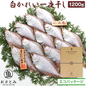 ギフト 干物 無添加 白かれい一夜干し（1200g・10〜16枚） エテカレイ 宗八カレイ カレイ 国産 島根産 大田産 贈答 干かれい ひもの 一夜干し お土産 内祝 お祝い お礼 酒の肴 晩酌 産地直送 誕生日 プレゼント お取り寄せ 山陰 海鮮 グルメ 魚 男性 岡富商店