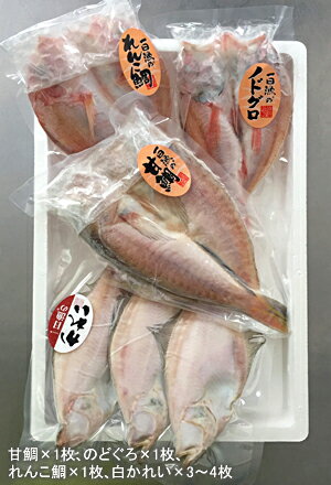 【中身形態】日本海厳選地魚一夜干「恵比寿」(えびす)