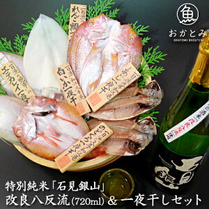【送料無料】特別純米「石見銀山」改良八反流(720ml)&一夜干セット