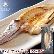 かますの干物 中（1尾・100〜115g）≪アカカマス 本カマス≫カマス 干物 ひもの 一夜干し 国産 島根産 大…