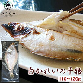 楽天市場 山陰 魚 白カレイの通販