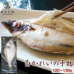 白かれいの干物(1尾・120〜130g) エテカレイ 宗八カレイ カレイ 一夜干し 鰈 干物 ひもの 国産 島根産 大田産 天然 無添加 酒の肴 お土産 和食 魚 冷凍 おかず バーベキュー キャンプ 炭火焼
