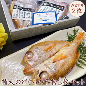 のどぐろ 干物 ギフト のどぐろ入 専門店 送料無料 特大のどぐろの干物2枚セット(175〜200g×2枚) ノドグロ アカムツ 島根産 のどぐろ 一夜干し ひもの 無添加 天日塩 誕生日 プレゼント お祝