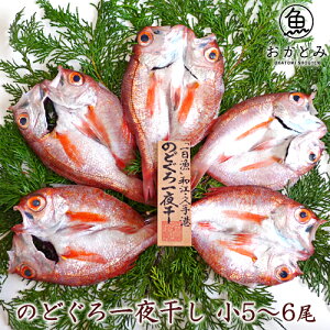 【送料無料 】のどぐろ一夜干し 小 5〜6枚セット ノドグロ ア カムツ 国産 島根産 無添加 天日塩 ひもの のどぐろ干物 干物セット 干物 詰め合わせ ギフトお祝い 御祝 内祝 お礼 寿 合格祝い