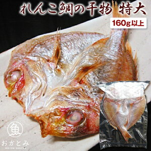 񂱑̊ 1 i160gȏj L_C Aq R_C R  Ђ 銱 j Y Y cY Y V j j j j  i w oY H