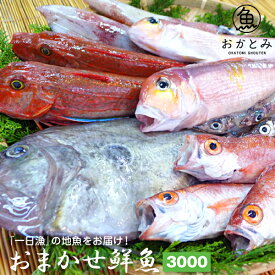楽天市場 鮮魚の通販