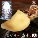 白いか一夜干し 大（1枚） ケンサキイカ 真いか イカ 一夜干し 無添加 国産 島根産 大田産 干物 酒の肴 おつまみ お祝い 内祝 誕生日 プレゼント バーベキュー 海鮮 bbq 炭火焼 お取り寄せグルメ 産地直送 産直 岡富商店