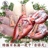 【送料無料】 特撰日本海一夜干し「吉祥天」（きっしょうてん）　干物セット 干物 ギフト 詰め合わせ 甘…