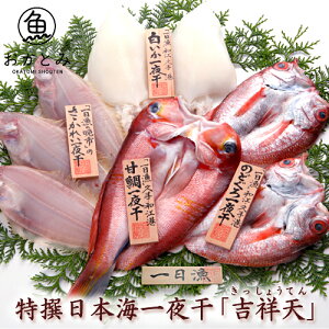 yz {C銱ug˓Vvi傤Ăj@Zbg  Mtg lߍ킹 Ñ ̂ǂ  JC Y Y Ђ Y V j j  a