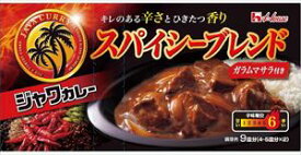 送料無料 ハウス ジャワカレー スパイシーブレンド 191g ×10個